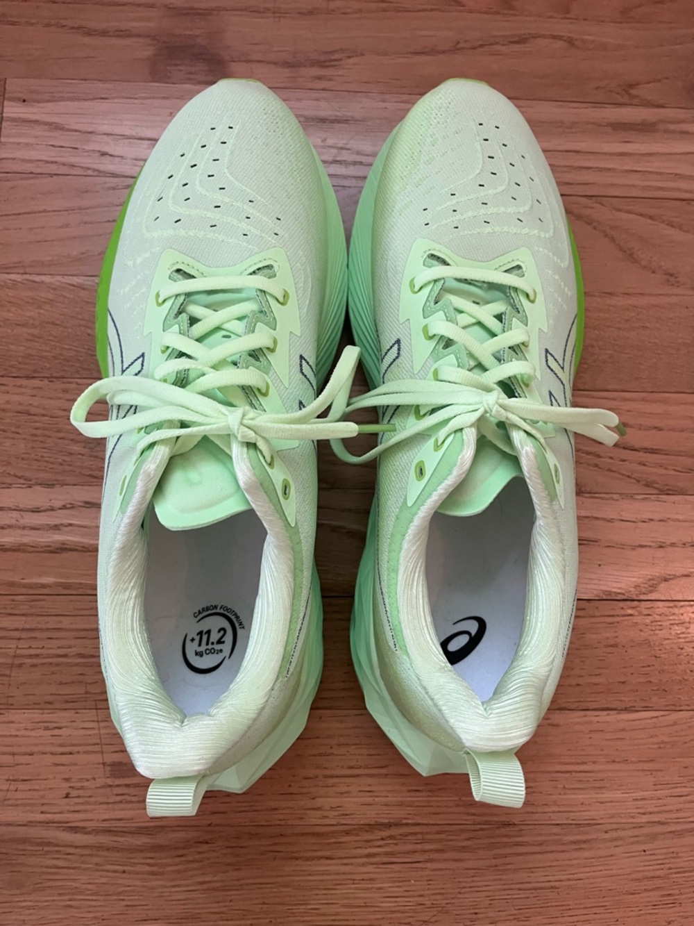 Asics Mint Green Lace-Up Running Shoes